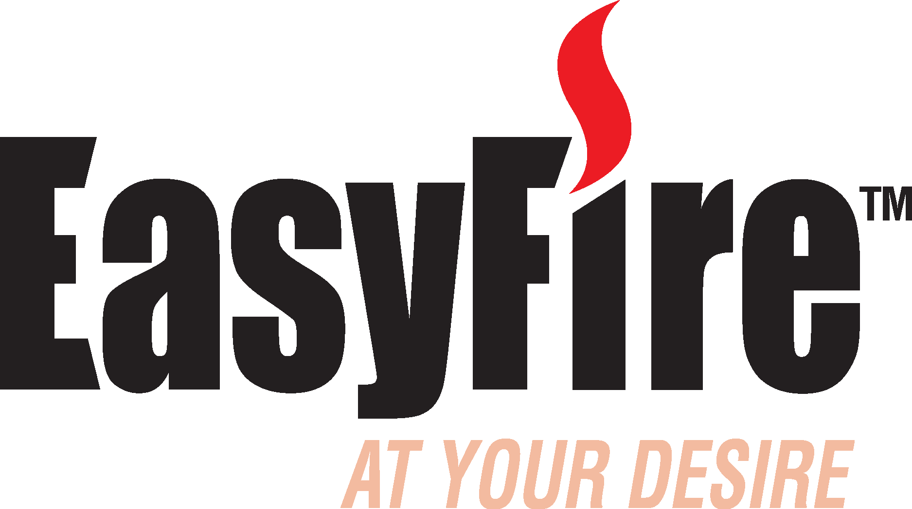 EasyFire Logo Vector Logo